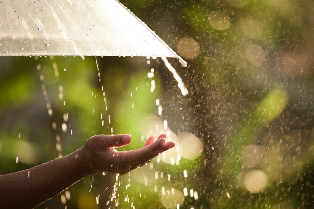 Woman hand with umbrella in the rain in green nature